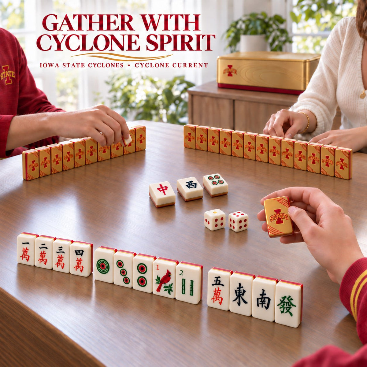 Premium ISC Mahjong Tiles Set TNSM