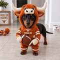 Premium TLH pet outfit BMD